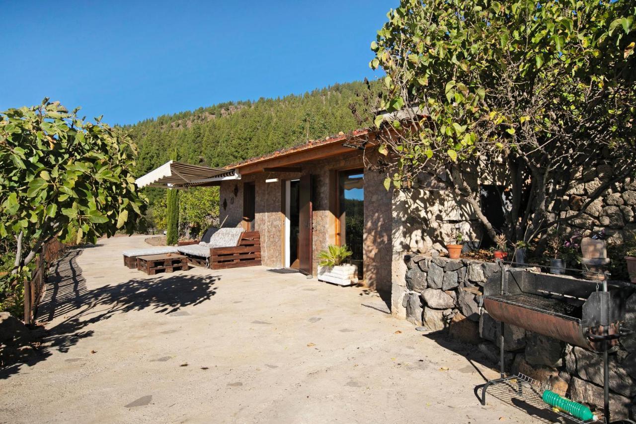 El Cazador 2 Villa Granadilla De Abona Bagian luar foto